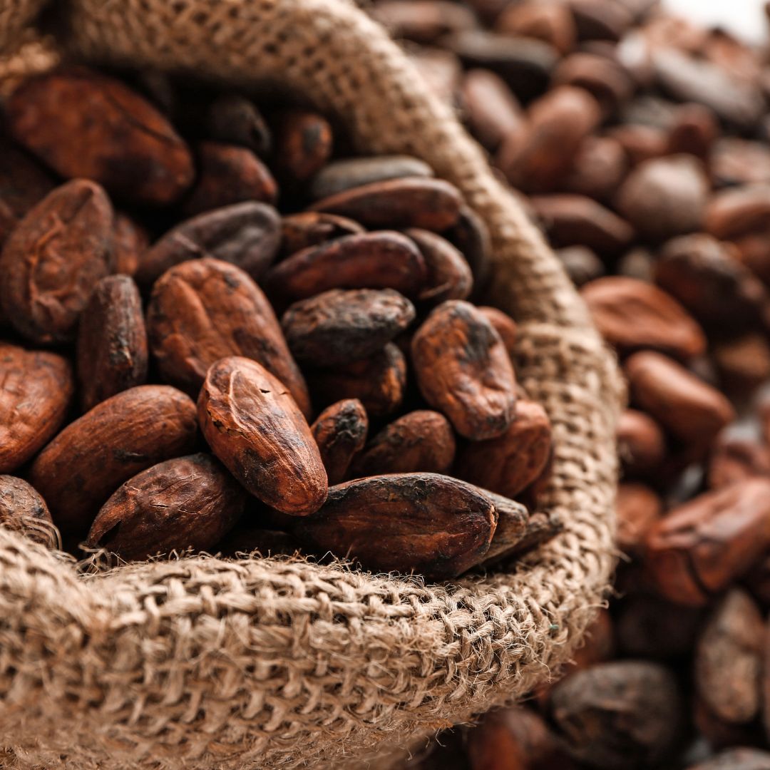 Cacao Convencional en Grano Seco